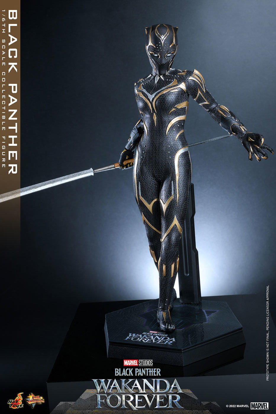 Black Panther: Wakanda Forever - Black Panther image 9
