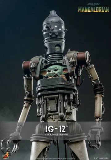 The Mandalorian - IG-12