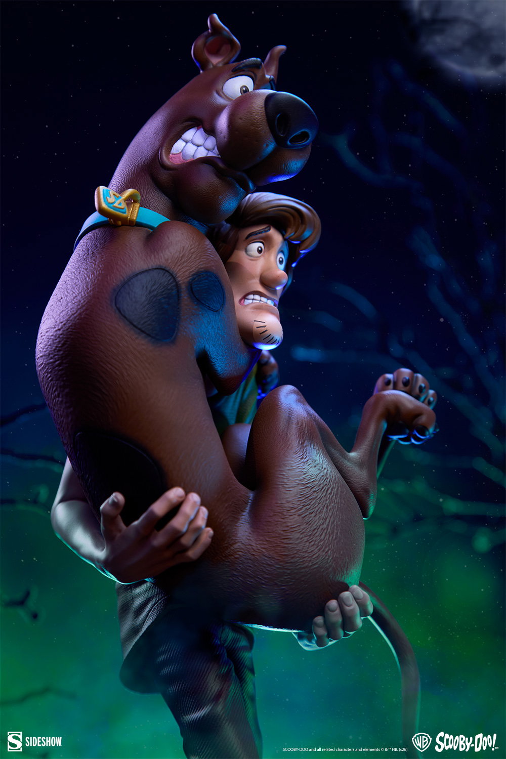 Scooby-Doo and Shaggy image 3