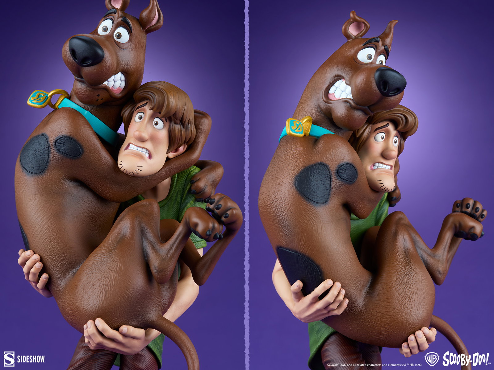 Scooby-Doo and Shaggy image 9