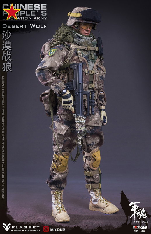 Chinese People's Liberation Army - Desert Wolf image 10