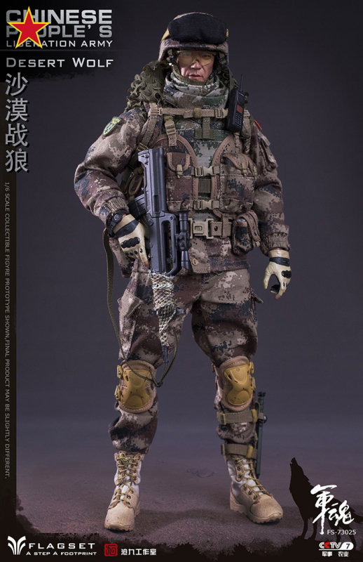Chinese People's Liberation Army - Desert Wolf image 2
