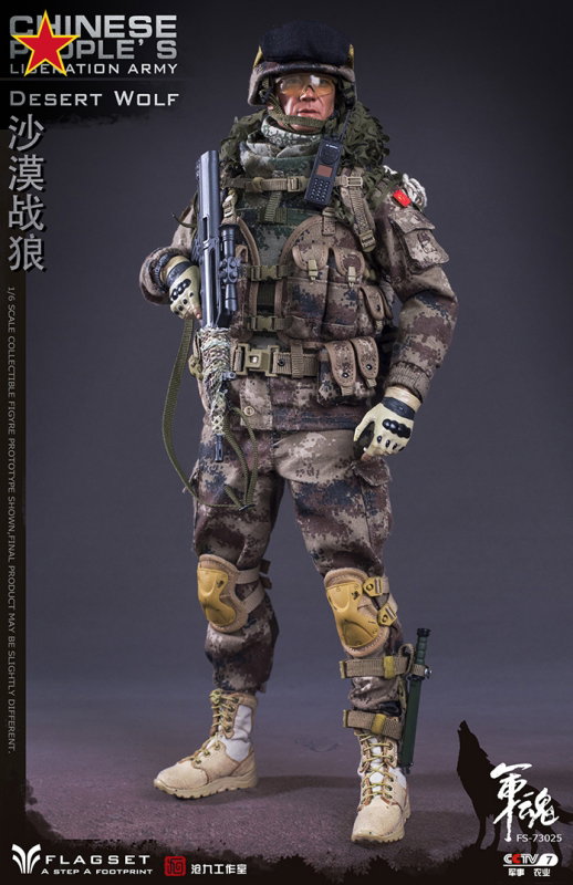 Chinese People's Liberation Army - Desert Wolf image 3