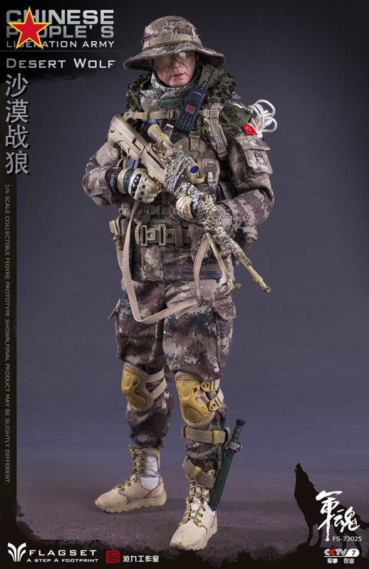 Chinese People's Liberation Army - Desert Wolf image 4