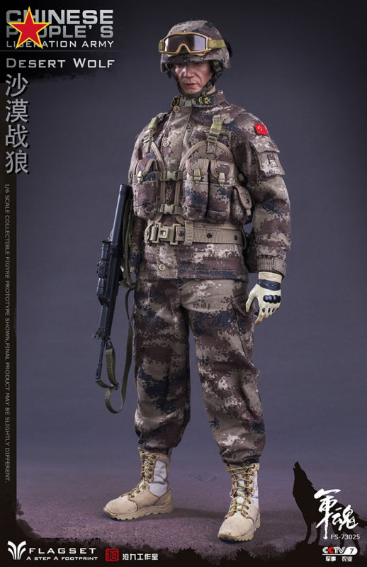 Chinese People's Liberation Army - Desert Wolf image 5