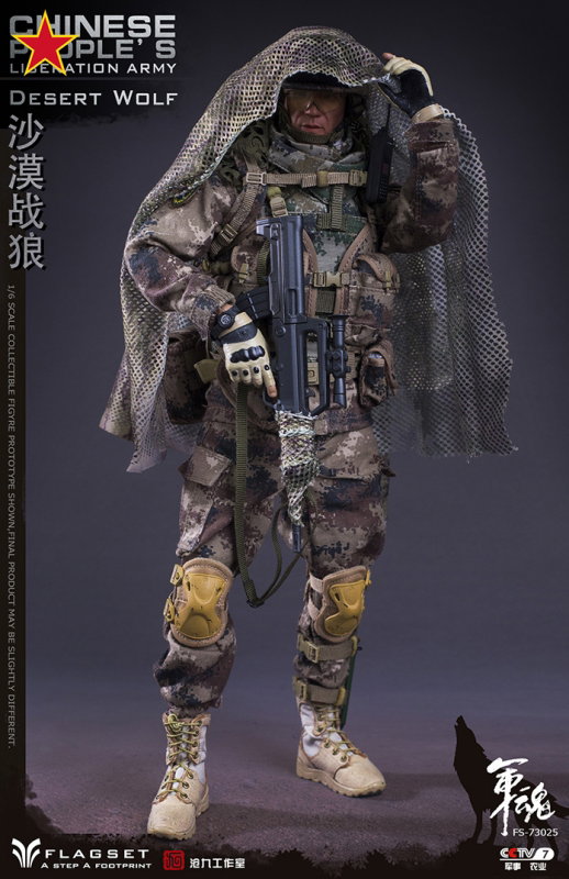 Chinese People's Liberation Army - Desert Wolf image 6