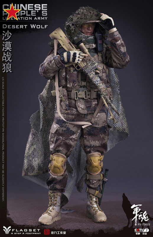 Chinese People's Liberation Army - Desert Wolf image 7