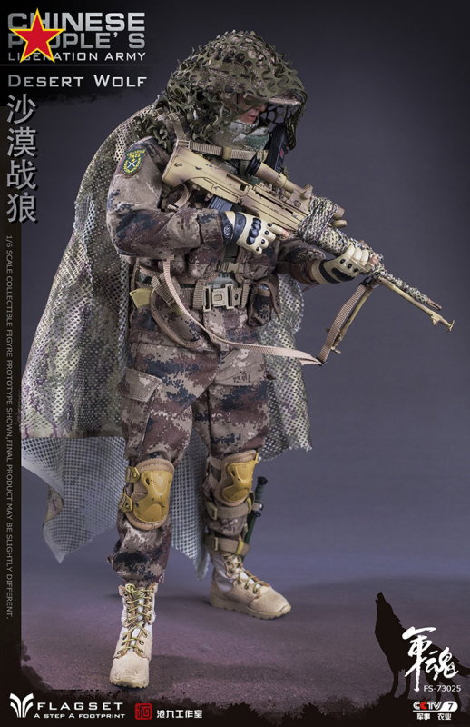Chinese People's Liberation Army - Desert Wolf image 8