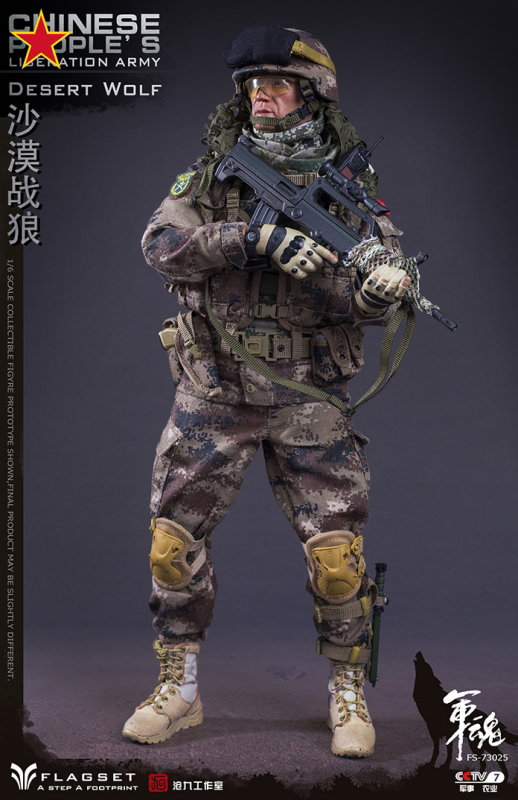 Chinese People's Liberation Army - Desert Wolf image 9