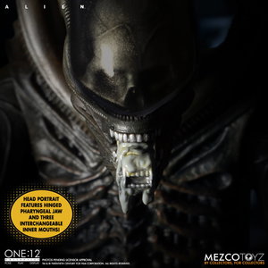 Alien image 8