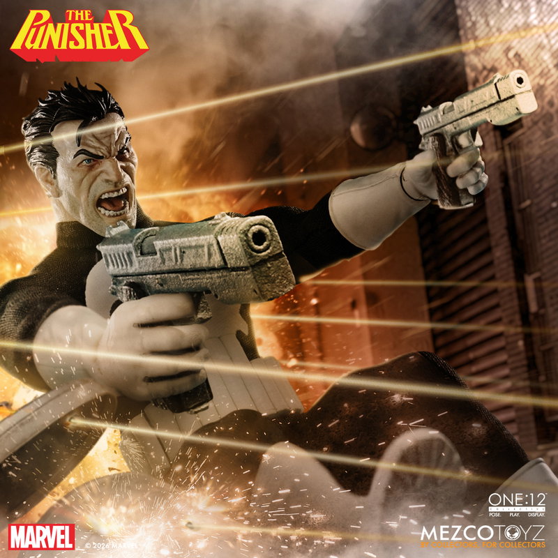 Punisher image 5