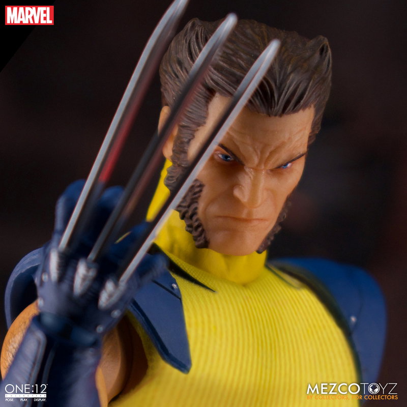 Wolverine - Deluxe Steel Box Edition image 4