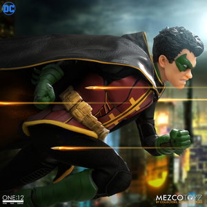 Robin image 5