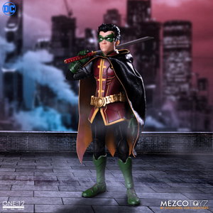 Robin image 6