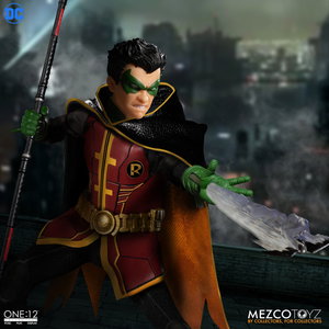 Robin image 7