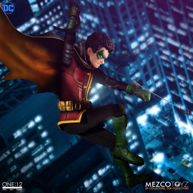 Robin image 9