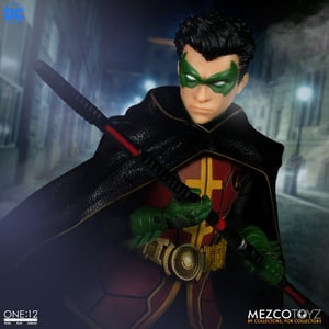 Robin image 10