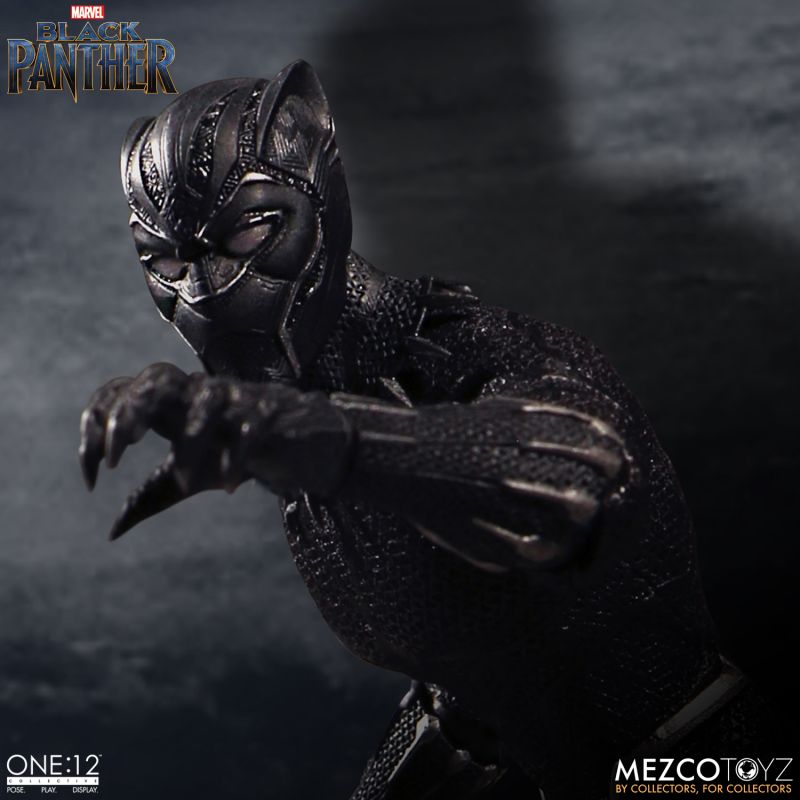 Black Panther image 7