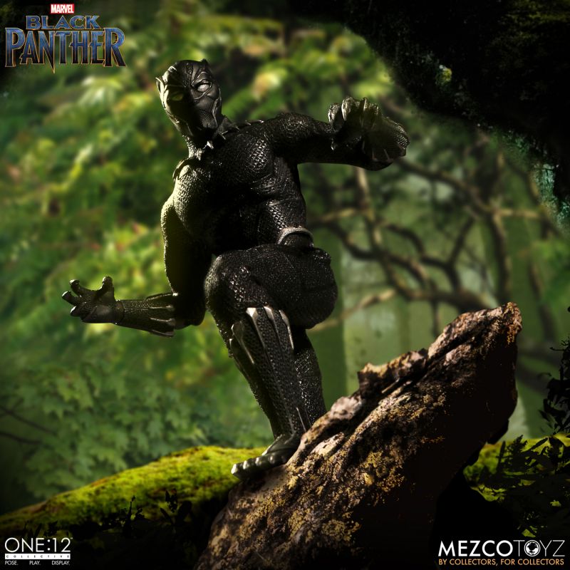 Black Panther image 9