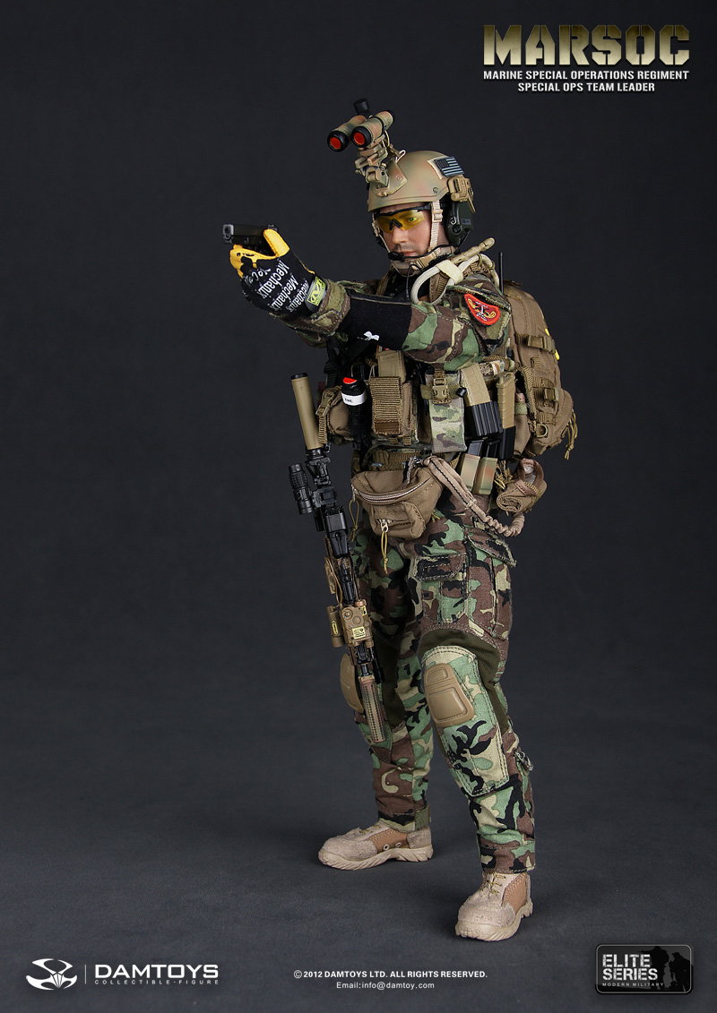 U.S. Marine Corps Special Operations Regiment, Commander of the Special Operations Team image 10