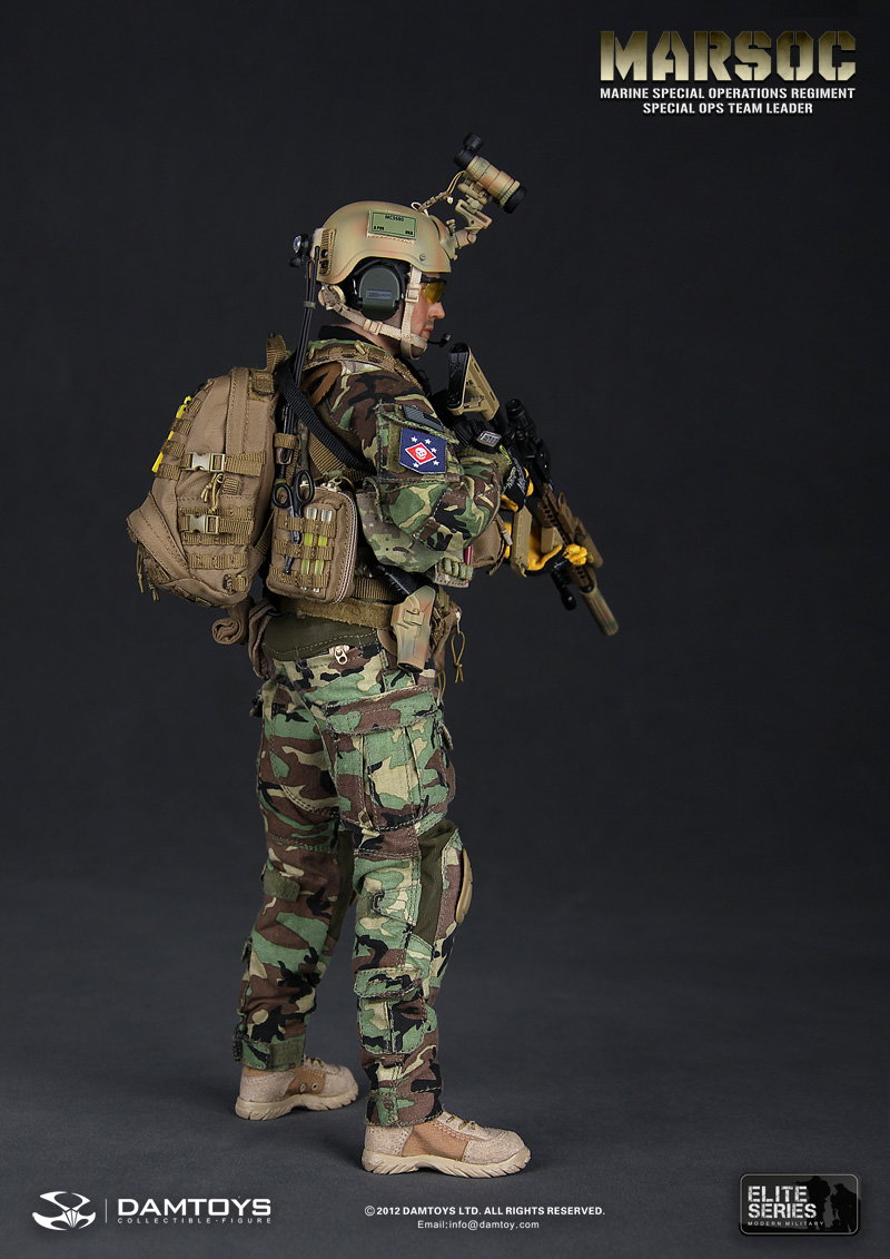 U.S. Marine Corps Special Operations Regiment, Commander of the Special Operations Team image 2