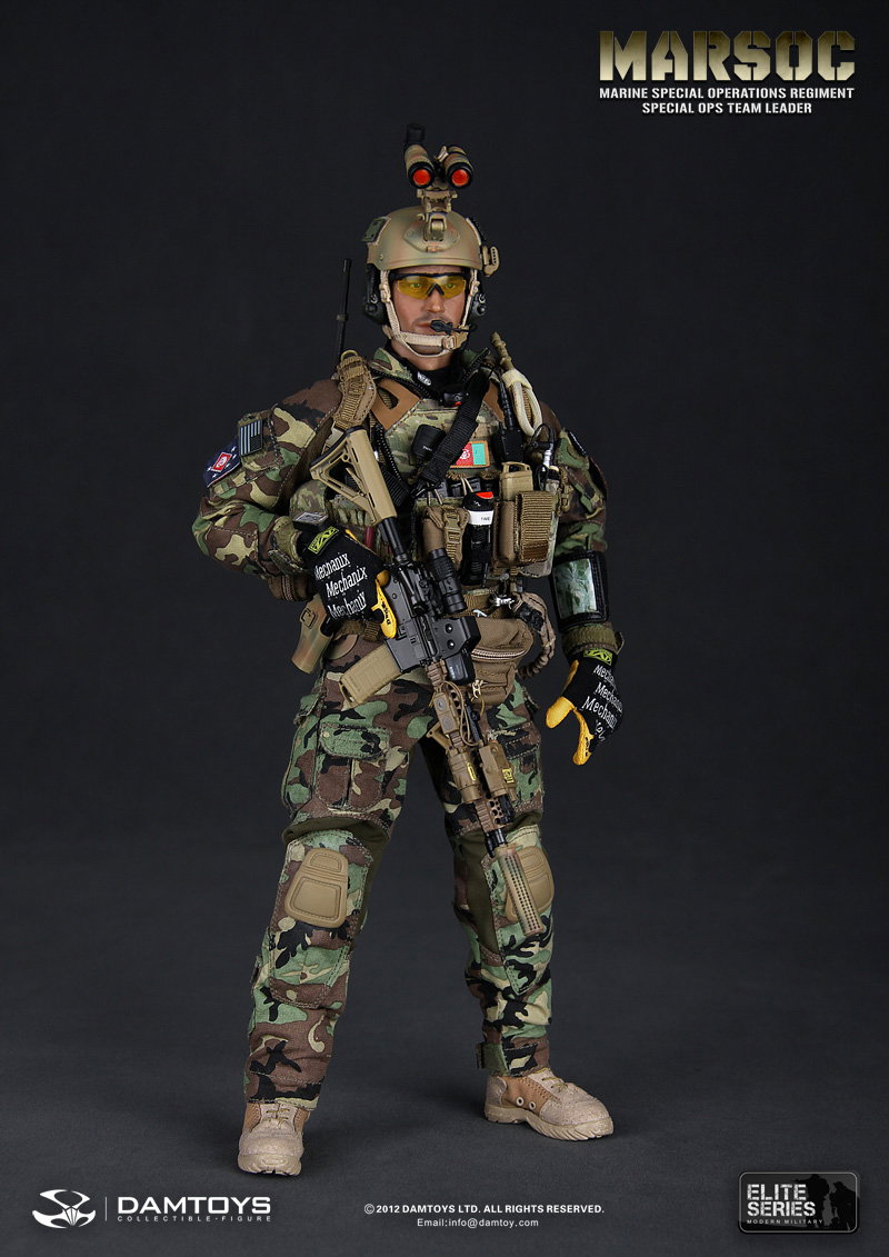 U.S. Marine Corps Special Operations Regiment, Commander of the Special Operations Team image 4