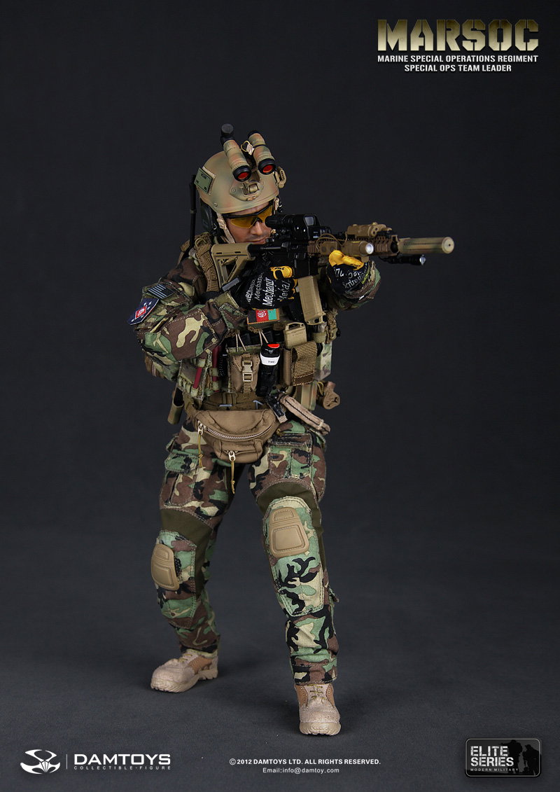 U.S. Marine Corps Special Operations Regiment, Commander of the Special Operations Team image 7