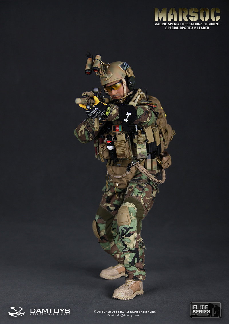 U.S. Marine Corps Special Operations Regiment, Commander of the Special Operations Team image 8