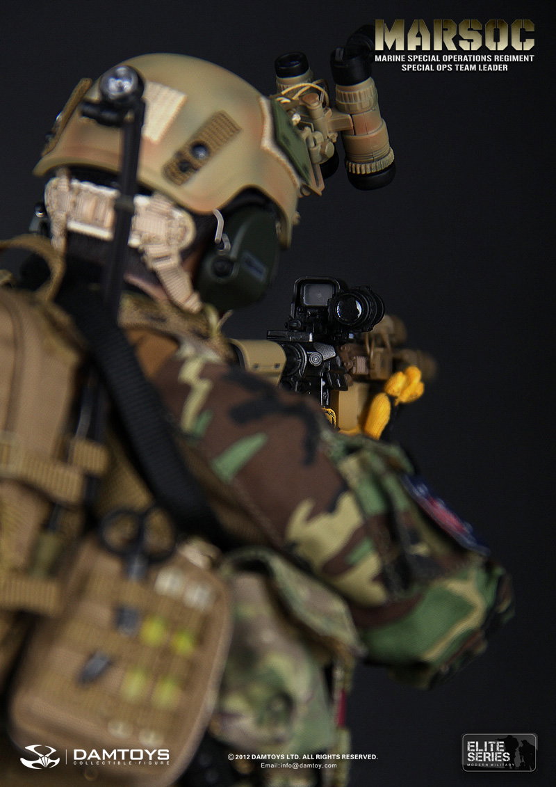 U.S. Marine Corps Special Operations Regiment, Commander of the Special Operations Team image 9