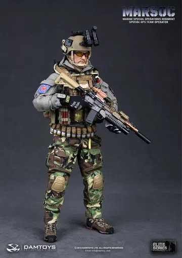 Marsoc - Marine Special Operations Regiment Commando Unit