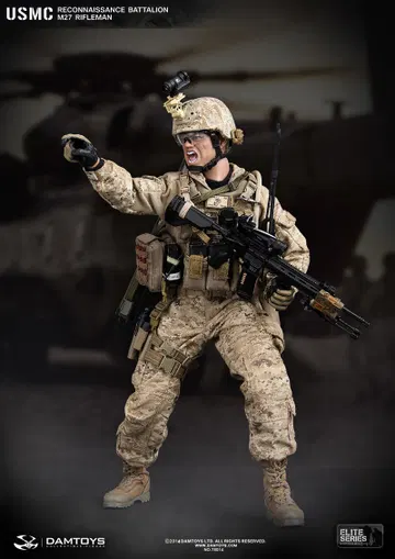 Marine Reconnaissance Battalion M27 Rifleman