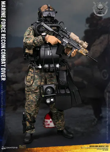 Marine Corps Armed Reconnaissance Combat Divers