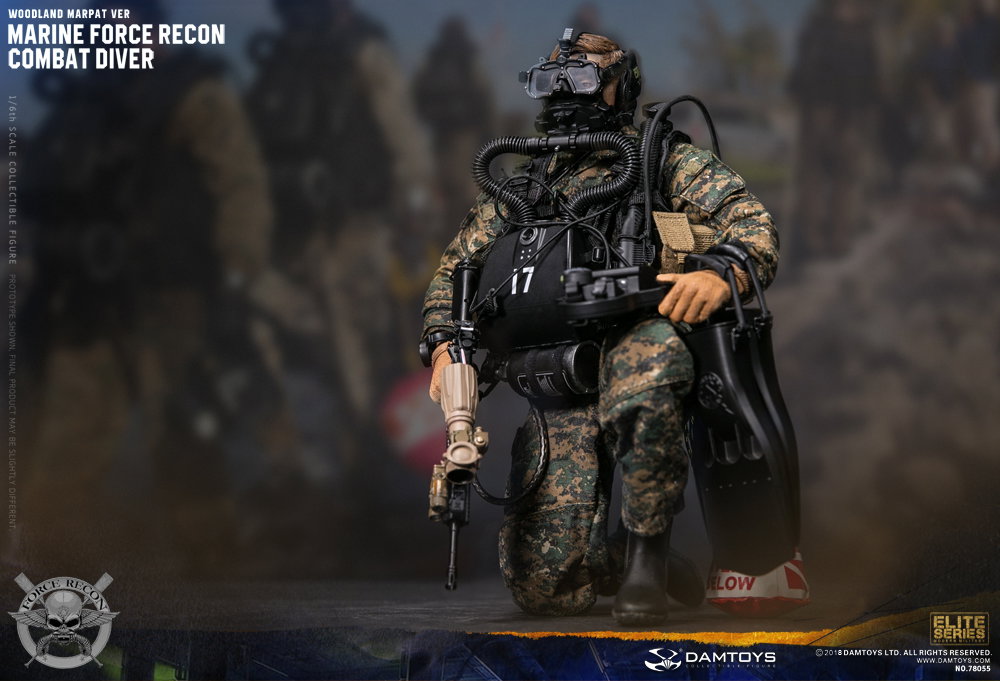 Marine Corps Armed Reconnaissance Combat Divers image 10