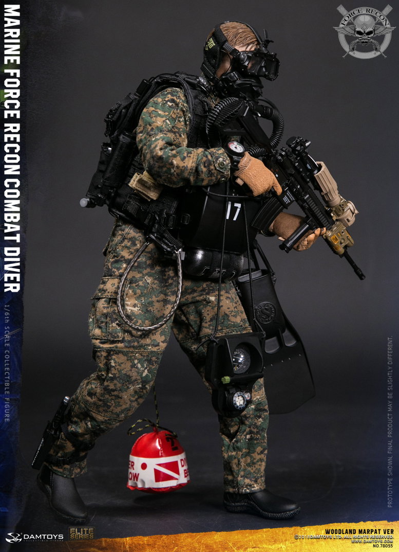 Marine Corps Armed Reconnaissance Combat Divers image 2