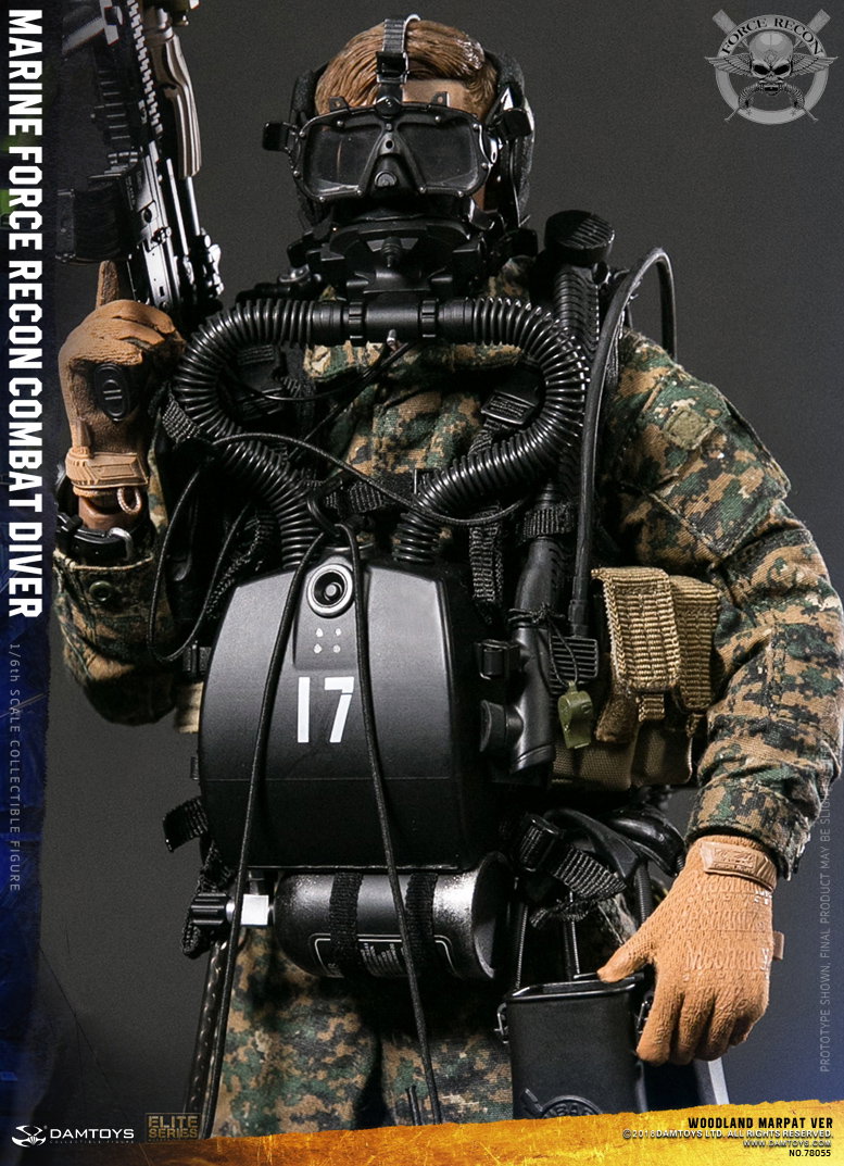 Marine Corps Armed Reconnaissance Combat Divers image 3
