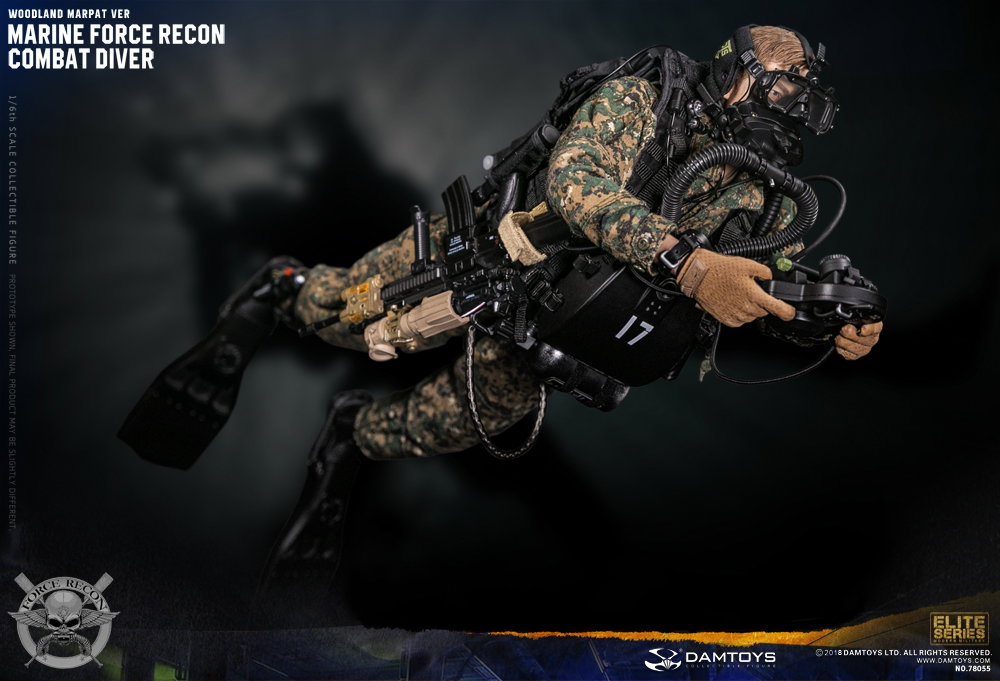 Marine Corps Armed Reconnaissance Combat Divers image 5