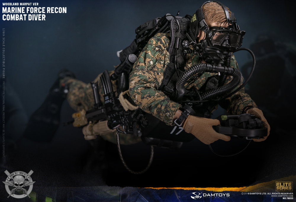 Marine Corps Armed Reconnaissance Combat Divers image 6