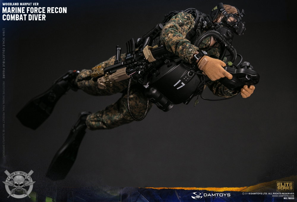 Marine Corps Armed Reconnaissance Combat Divers image 7