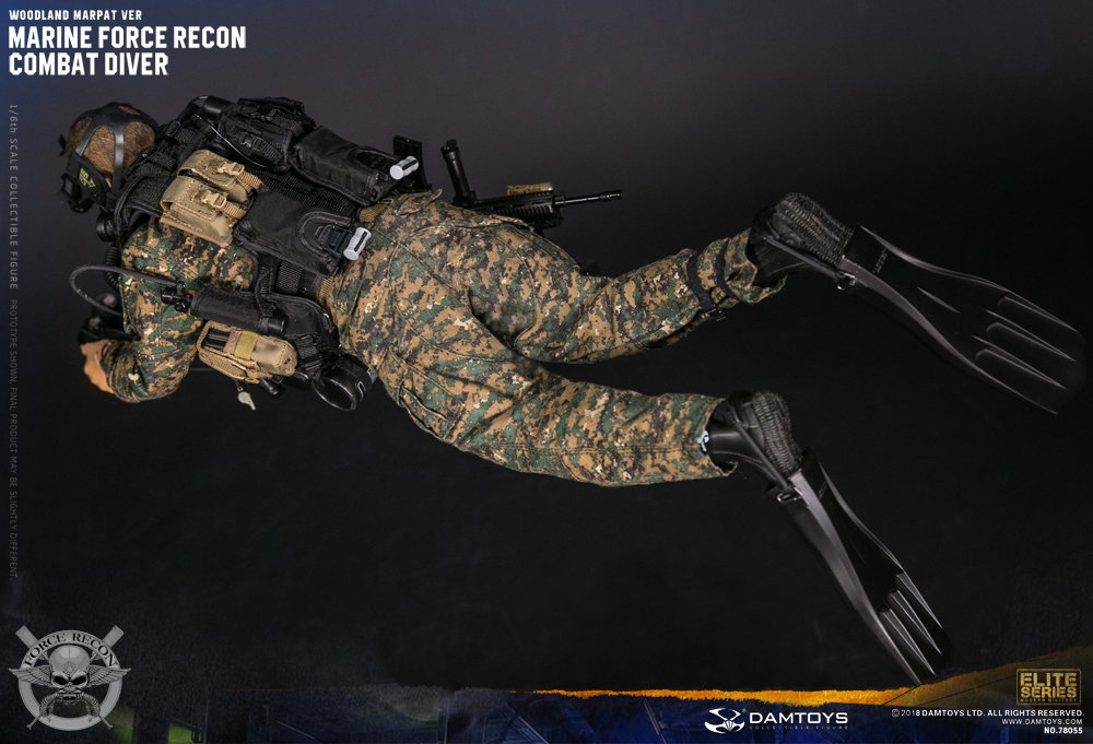 Marine Corps Armed Reconnaissance Combat Divers image 8