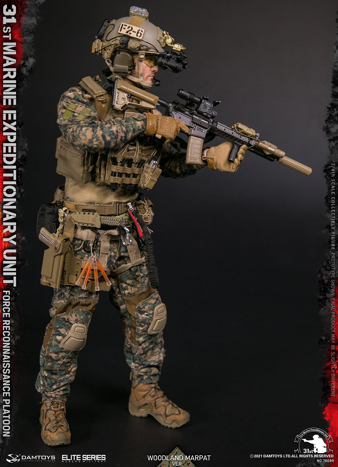 U.S. 31st Marine Expeditionary Force Reconnaissance Unit image 10