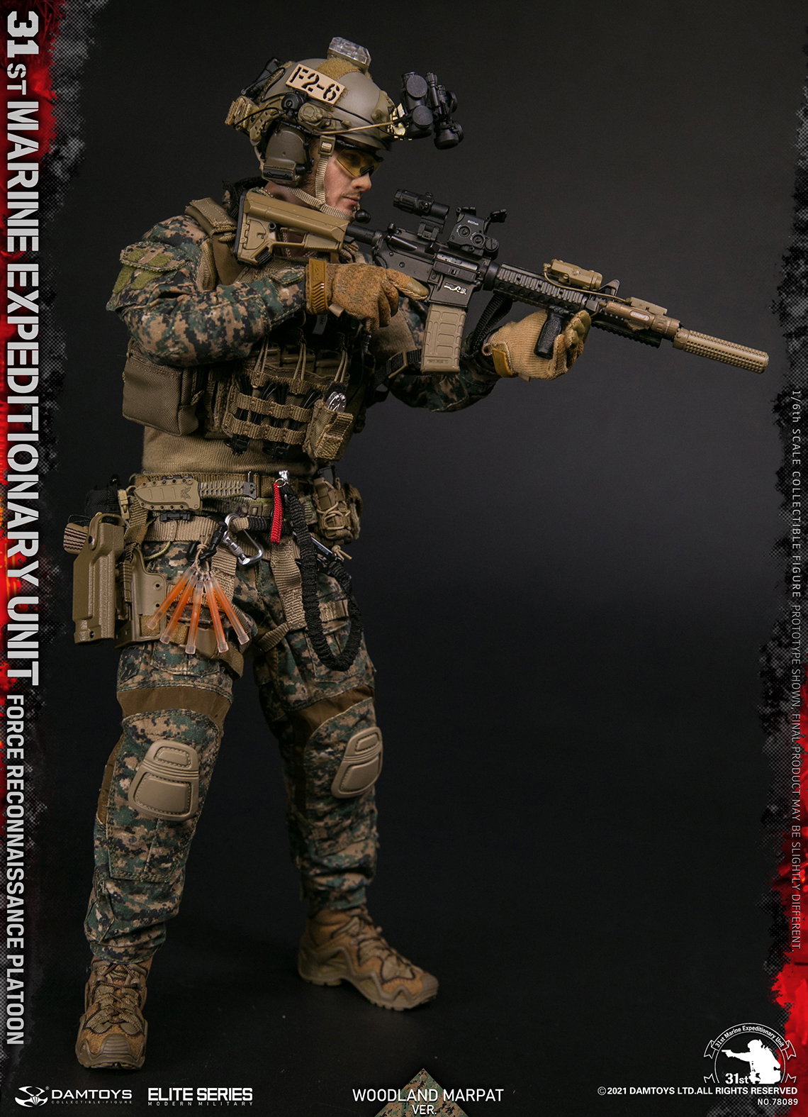 U.S. 31st Marine Expeditionary Force Reconnaissance Unit image 6