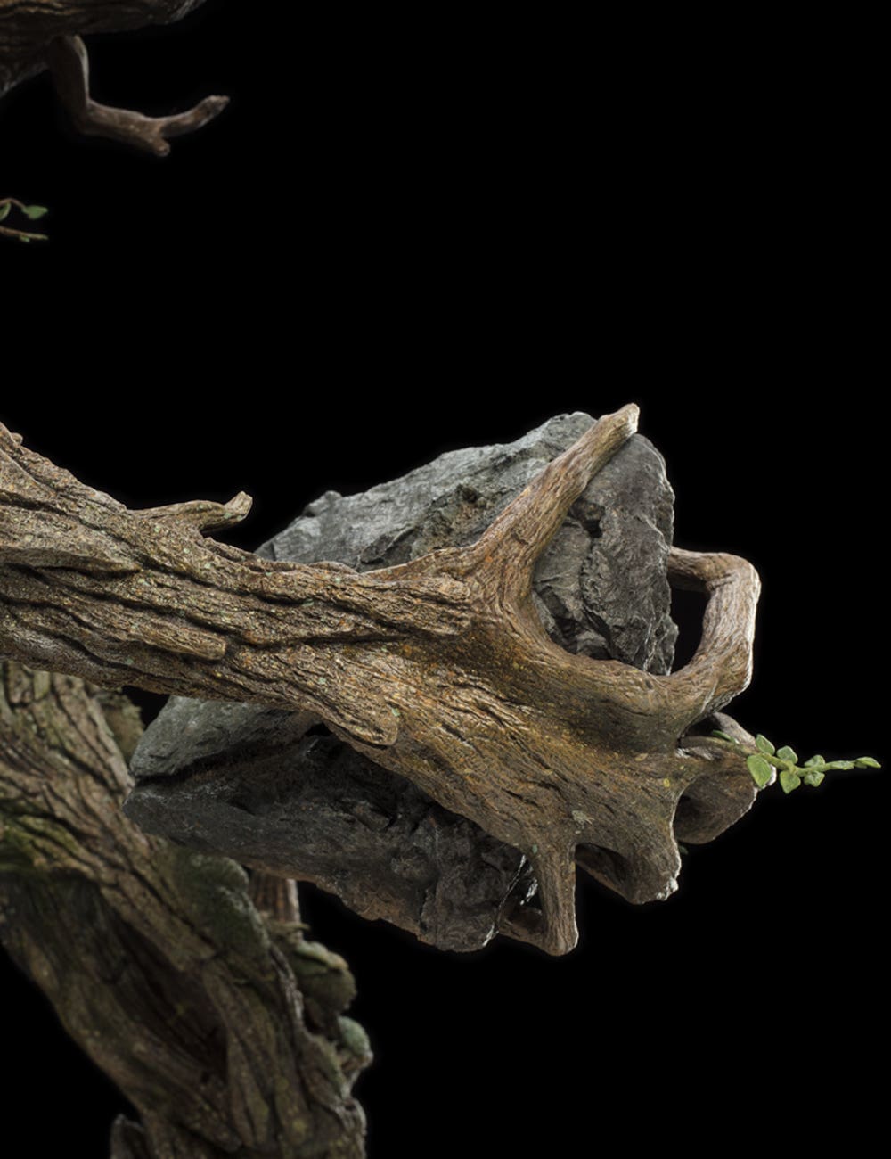 MASTERS COLLECTION - TREEBEARD image 7