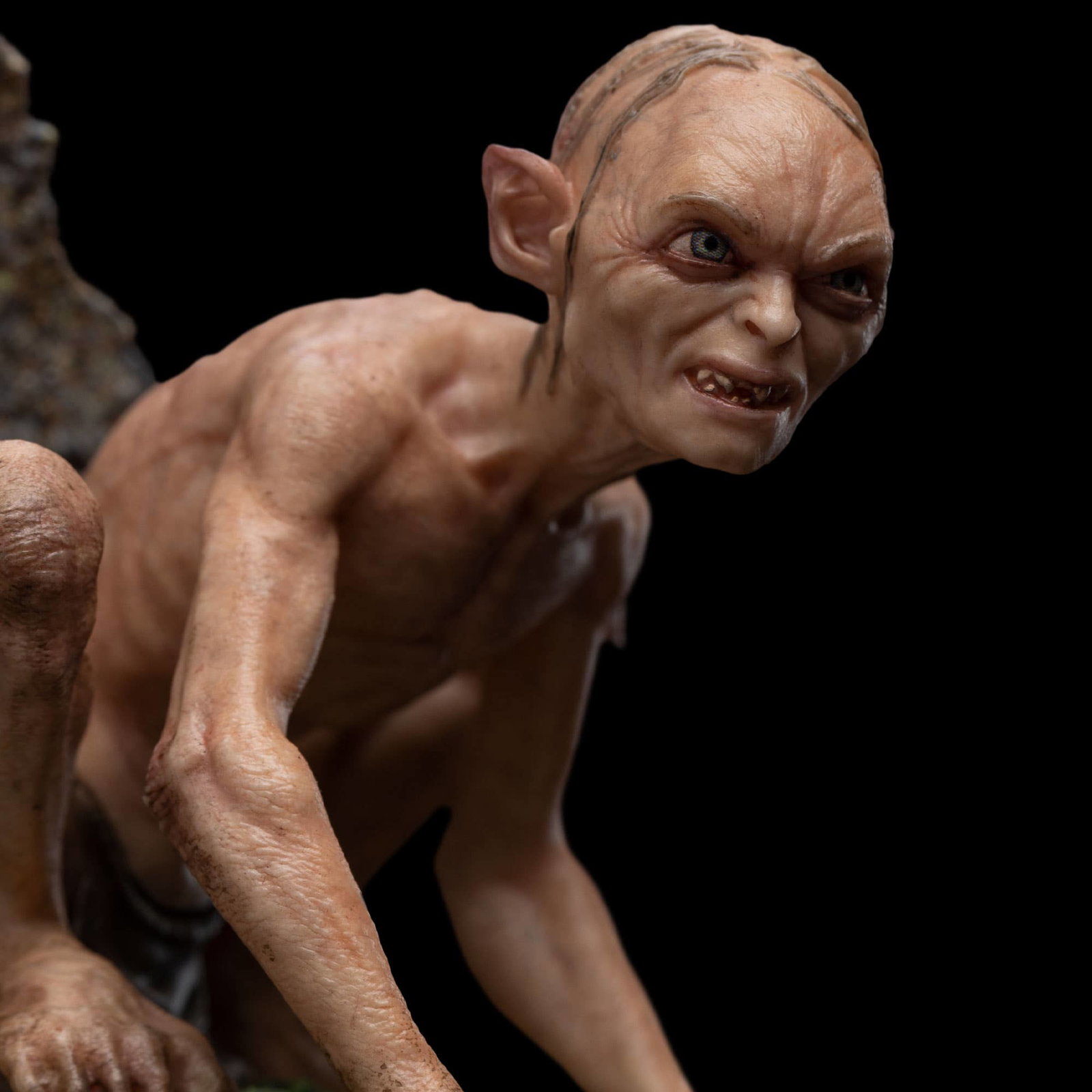 GOLLUM, GUIDE TO MORDOR image 6
