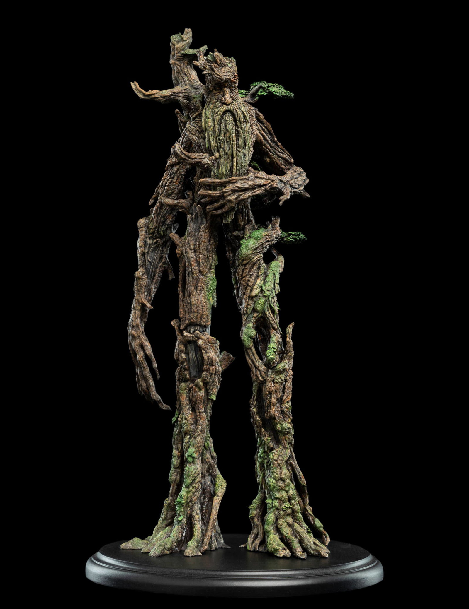 TREEBEARD image 1