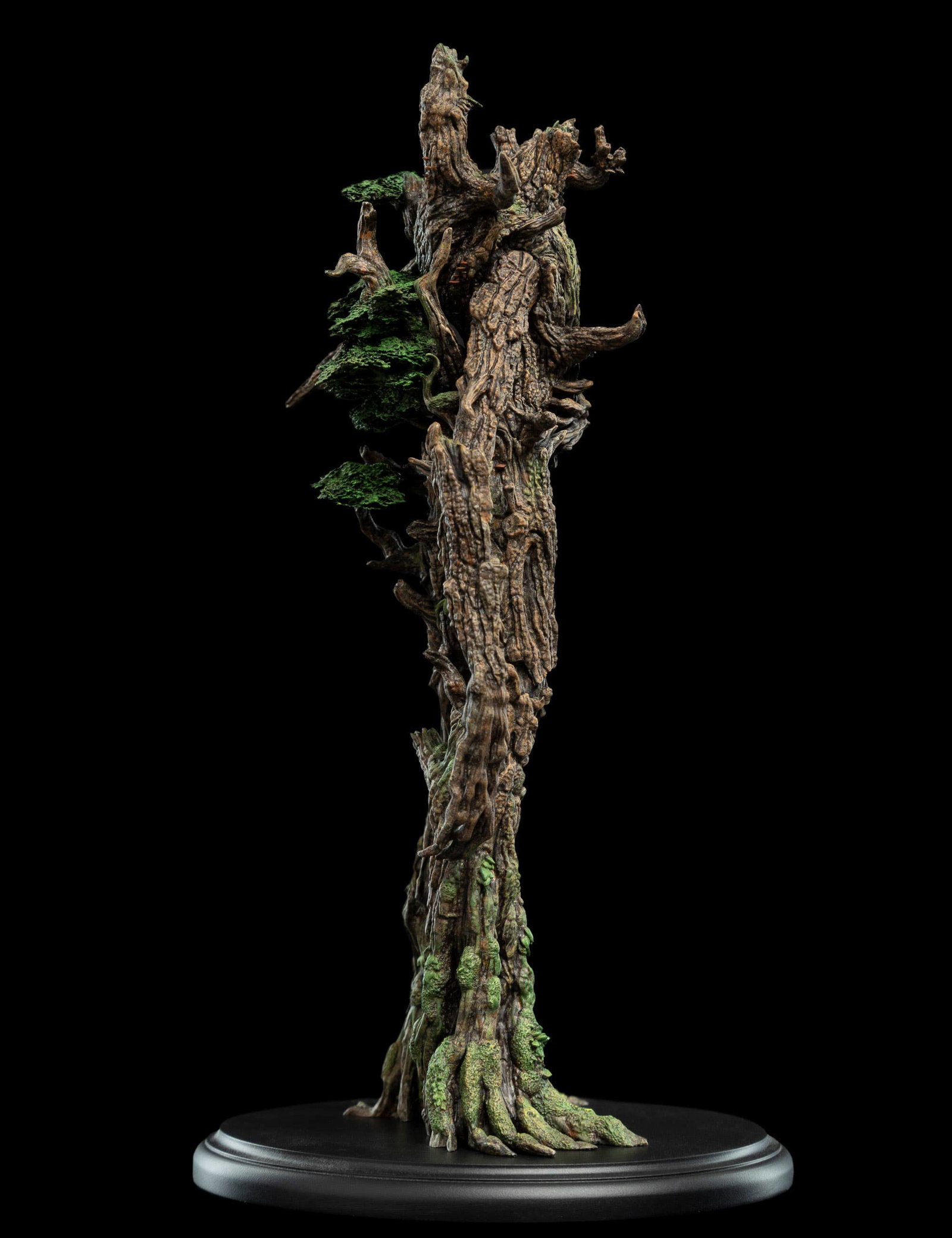 TREEBEARD image 2