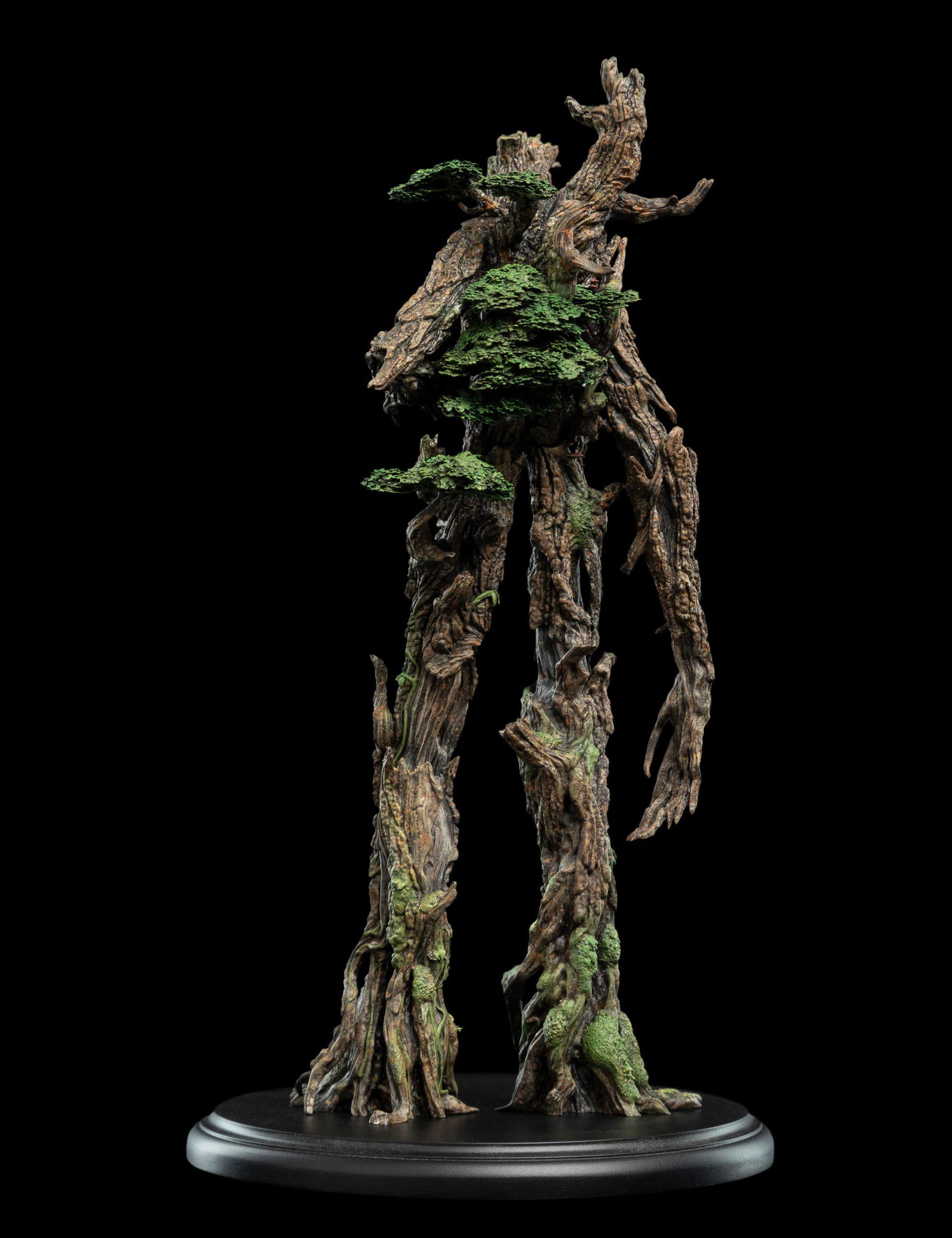 TREEBEARD image 3