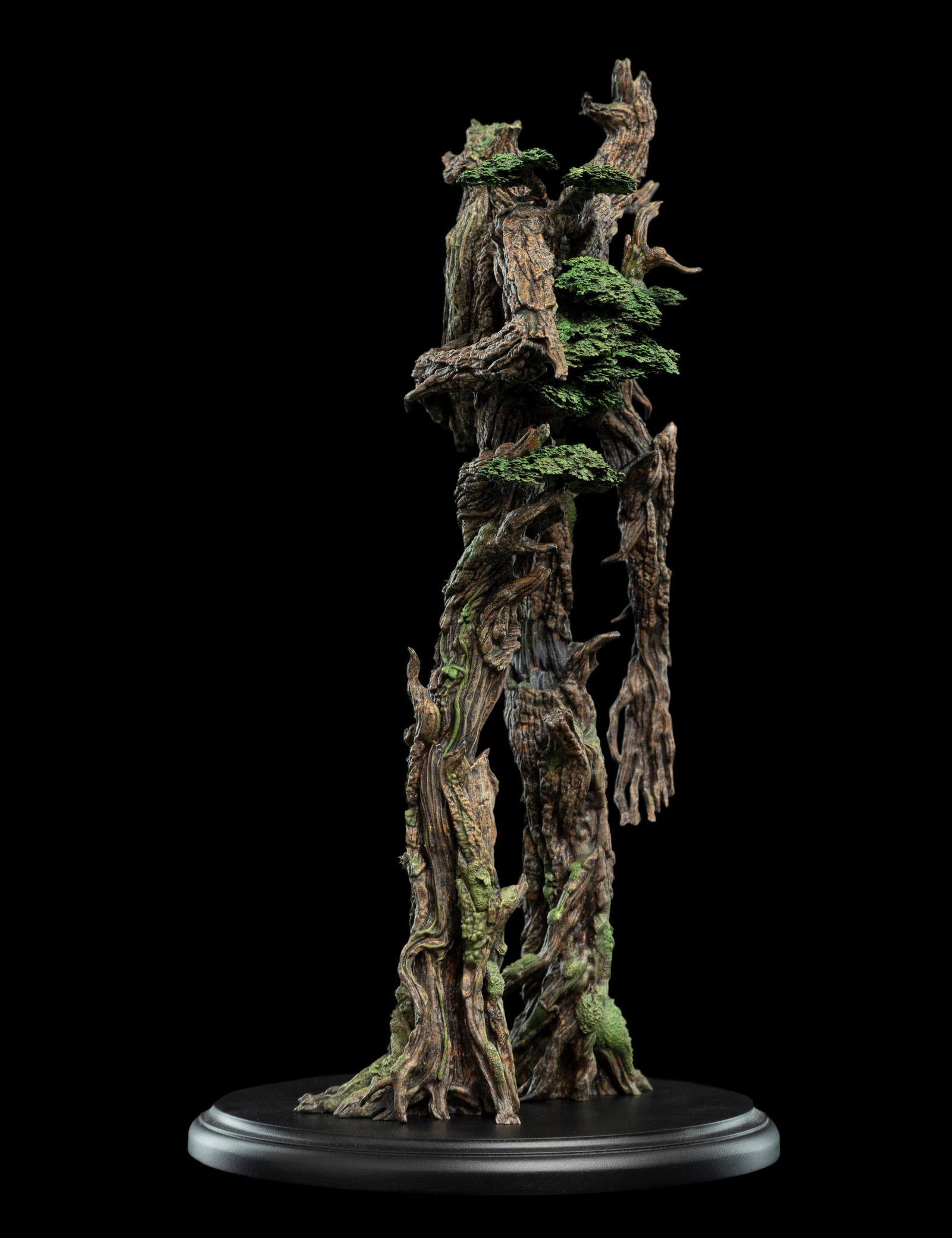 TREEBEARD image 4