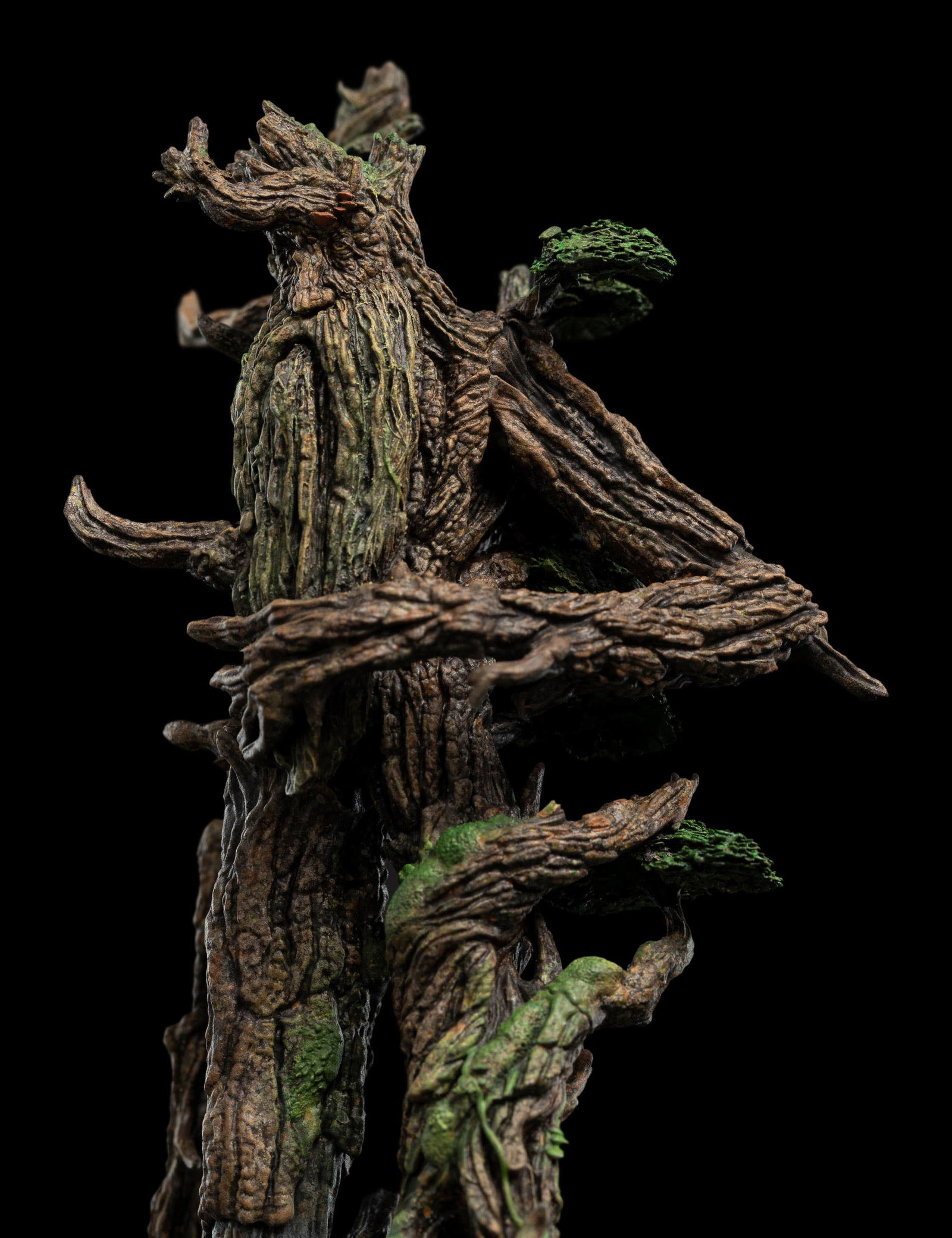 TREEBEARD image 5