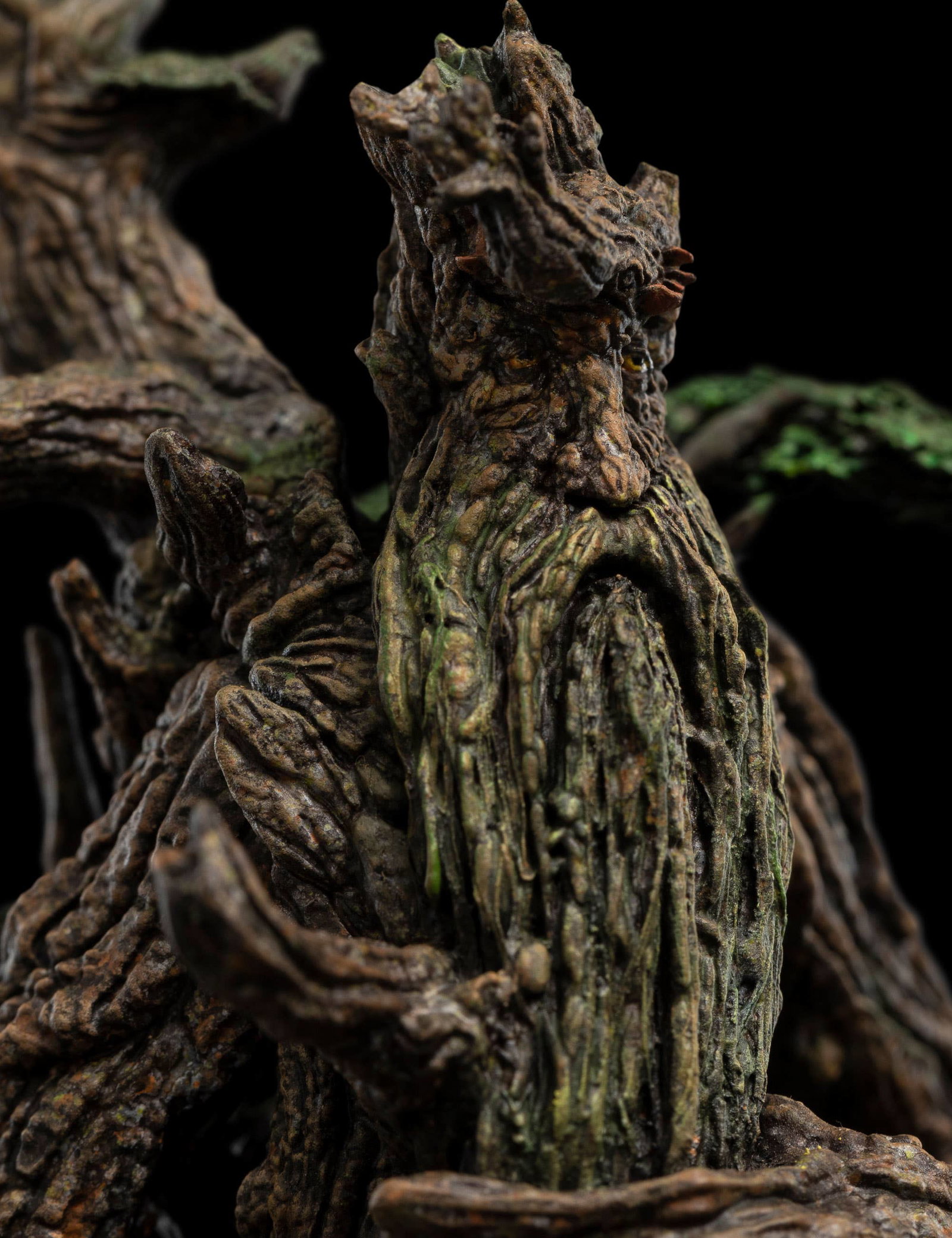 TREEBEARD image 6