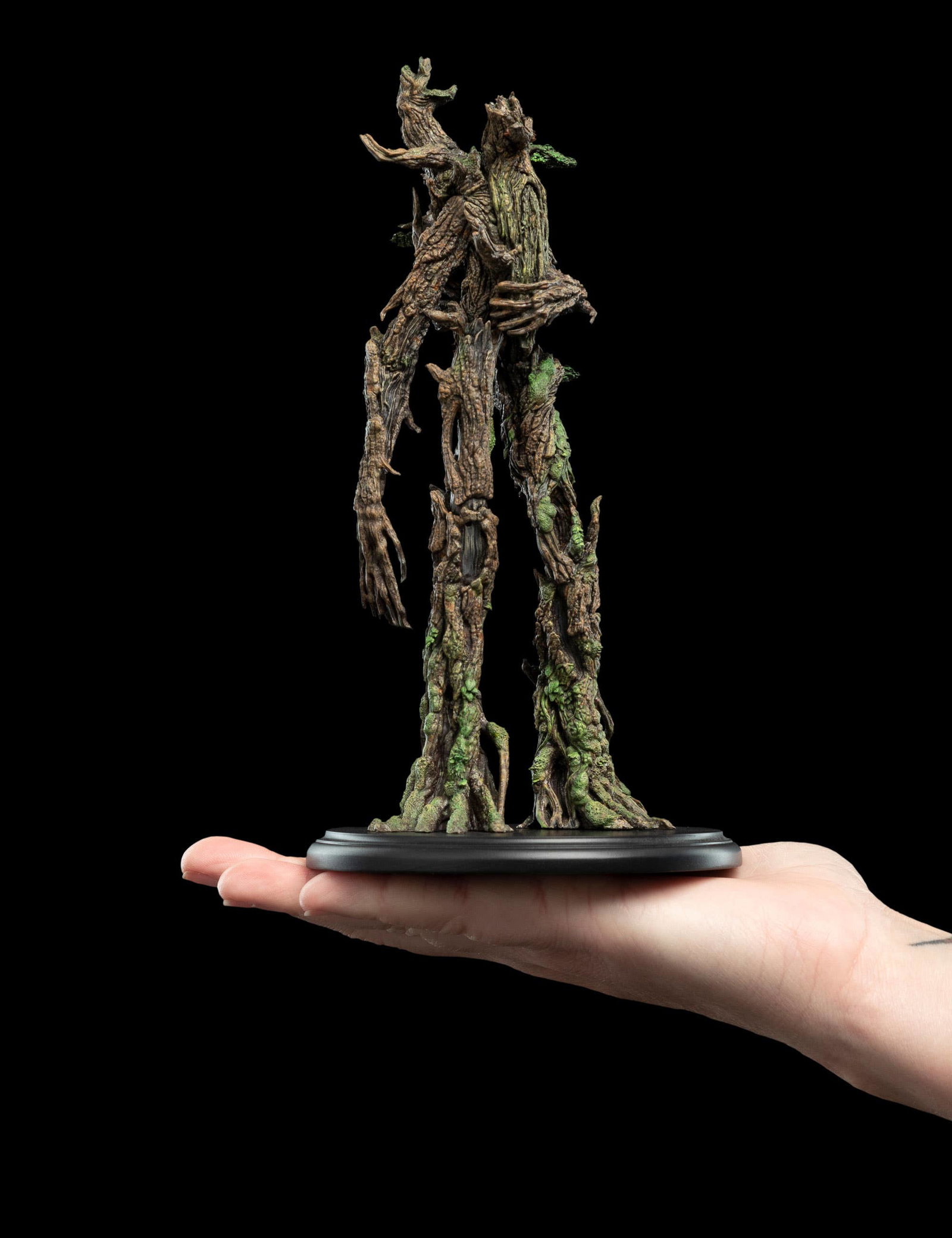 TREEBEARD image 7
